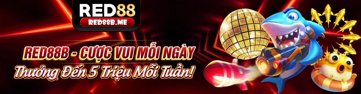 Tổng quan nền tảng bkwin và quyền lợi khi đăng ký